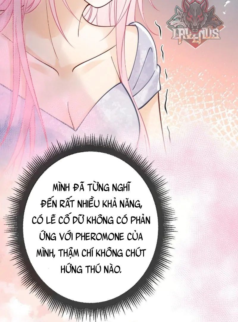 Nữ Chính Hắc Nguyệt Quang Luôn Muốn Đánh Dấu Tôi Chapter 28 - Trang 2