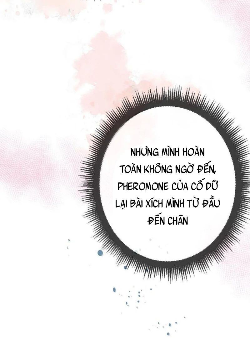 Nữ Chính Hắc Nguyệt Quang Luôn Muốn Đánh Dấu Tôi Chapter 28 - Trang 2