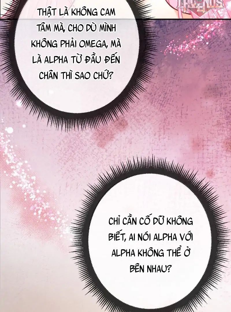 Nữ Chính Hắc Nguyệt Quang Luôn Muốn Đánh Dấu Tôi Chapter 28 - Trang 2