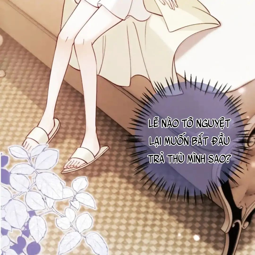 Nữ Chính Hắc Nguyệt Quang Luôn Muốn Đánh Dấu Tôi Chapter 29 - Trang 2