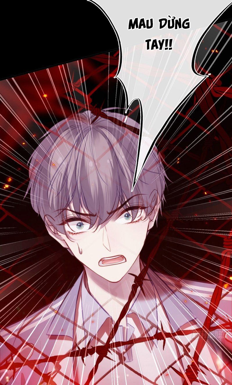 Anh Ấy Chưa Từng Rơi Xuống Chapter 142 - Trang 2
