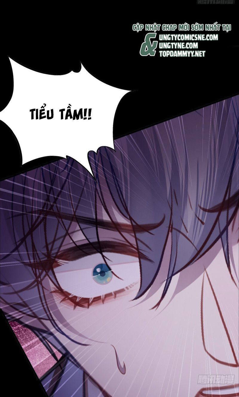 Anh Ấy Chưa Từng Rơi Xuống Chapter 142 - Trang 2