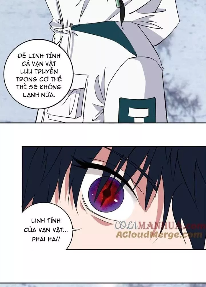 Bậc Thầy Pháp Sư Chapter 24 - Trang 2