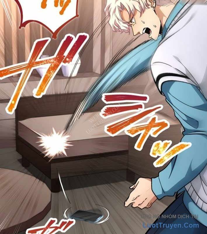 Ceberus Chapter 17 - Trang 2