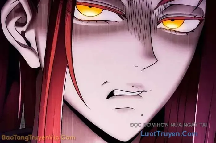 Cuộc Sống Tái Sinh Của Pháp Sư Hẻm Tối Chapter 17 - Trang 2