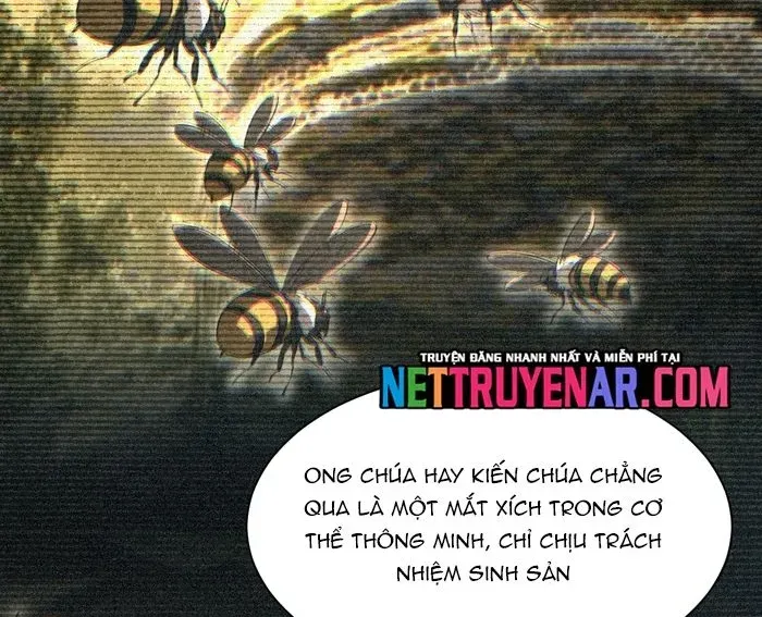 Mạt Thế Trùng Sinh: Ta Dựa Vào Mở Rương Vấn Dỉnh Đỉnh Phong Chapter 71 - Trang 2
