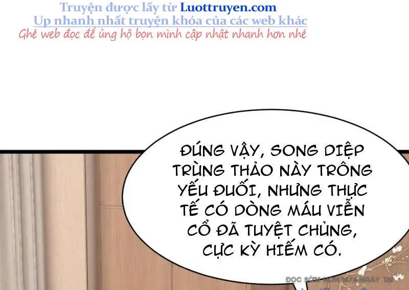 Thái Cổ Thập Hung: Người Khác Ngự Thú Ta Ngự Thú Nương Chapter 70 - Trang 2