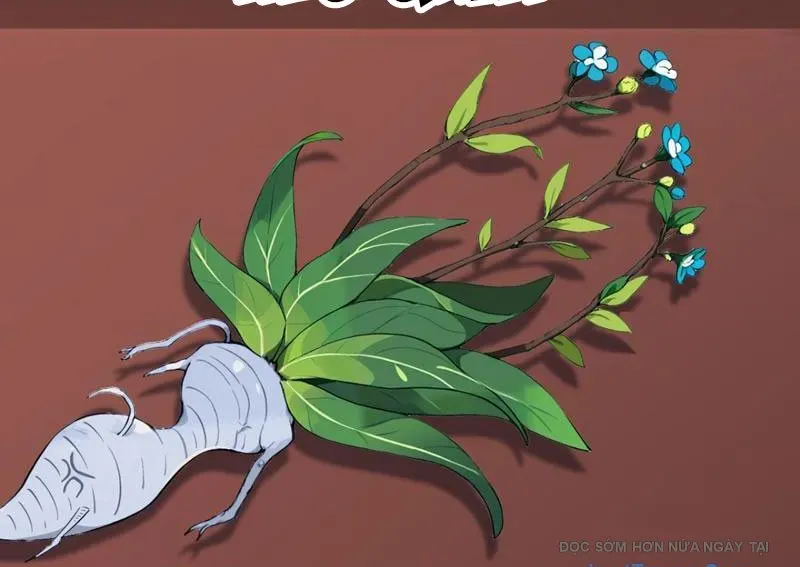 Thái Cổ Thập Hung: Người Khác Ngự Thú Ta Ngự Thú Nương Chapter 70 - Trang 2