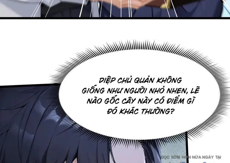 Thái Cổ Thập Hung: Người Khác Ngự Thú Ta Ngự Thú Nương Chapter 70 - Trang 2