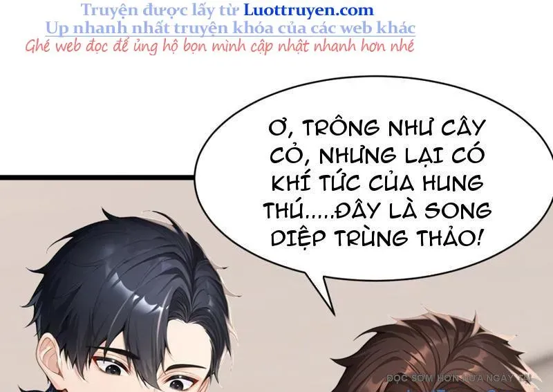Thái Cổ Thập Hung: Người Khác Ngự Thú Ta Ngự Thú Nương Chapter 70 - Trang 2