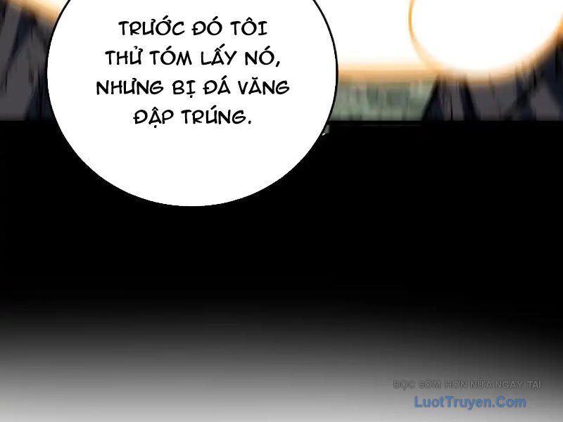 Mệnh Luân Chi Chủ! Khi Dị Biến Giáng Lâm Nhân Gian! Chapter 174 - Trang 2