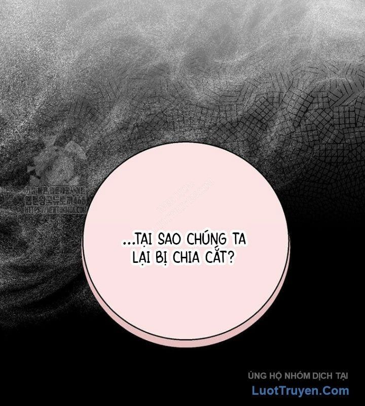 Tôi Thăng Cấp Bằng Kĩ Năng Chapter 117 - Trang 2