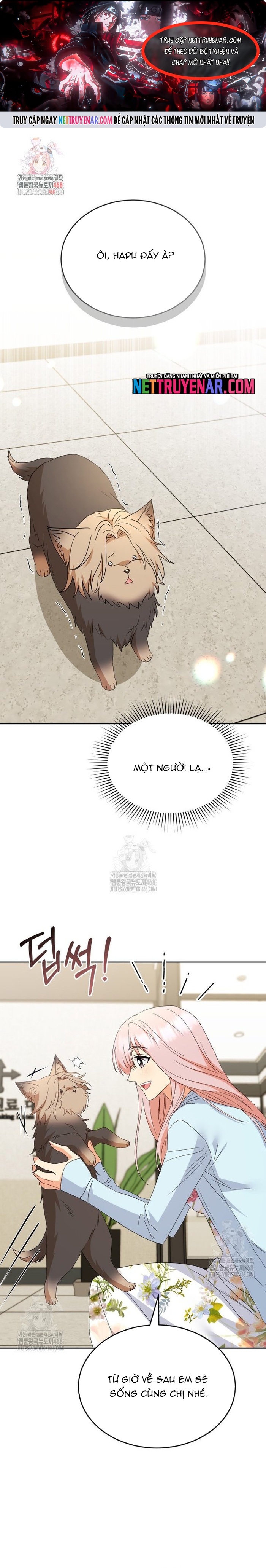 Xin Chào! Bác Sĩ Thú Y Chapter 104 - Trang 2
