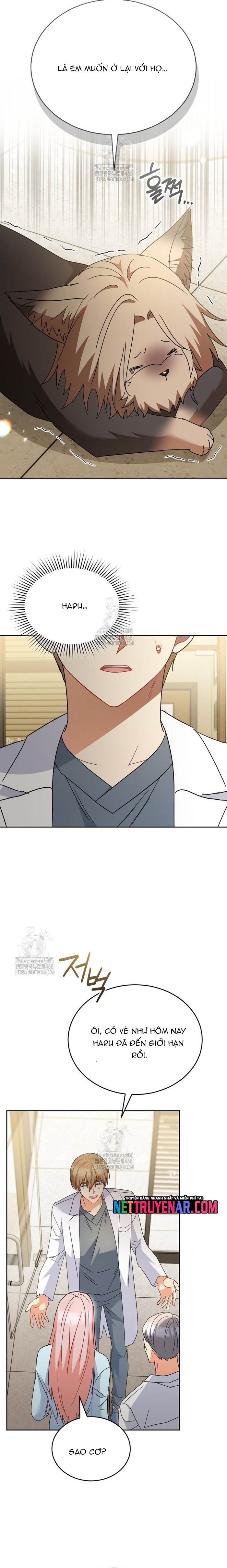 Xin Chào! Bác Sĩ Thú Y Chapter 104 - Trang 2