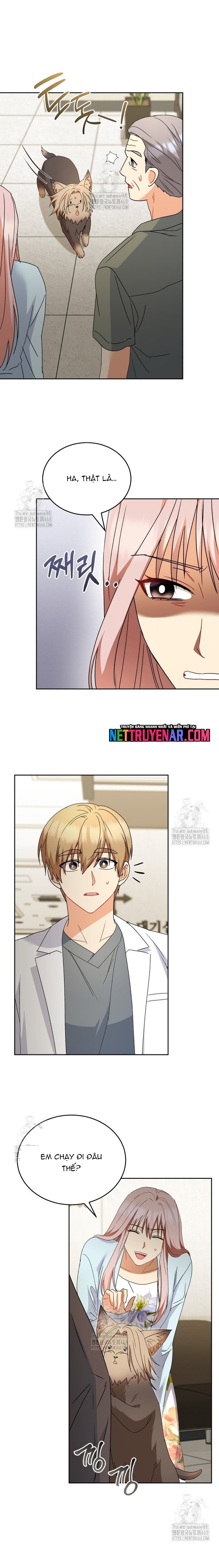 Xin Chào! Bác Sĩ Thú Y Chapter 104 - Trang 2
