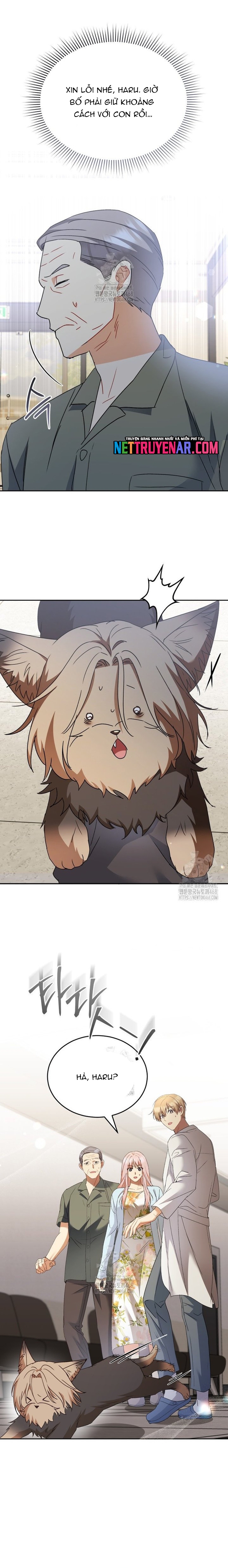 Xin Chào! Bác Sĩ Thú Y Chapter 104 - Trang 2
