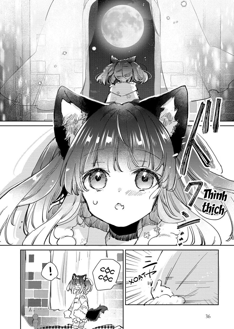 Công Chúa Cừu Trong Lốt Sói Chapter 24 - Trang 2