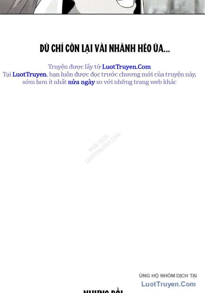 Nhân Diện Chapter 19 - Trang 2