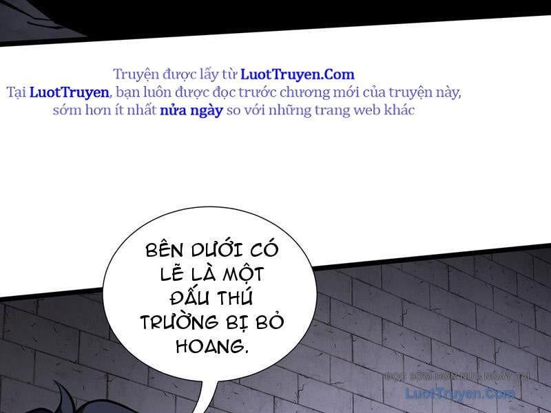 Tai Ách Giáng Lâm: Ta Tiến Hóa Thành Tinh Hồng Đế Vương Chapter 18 - Trang 2