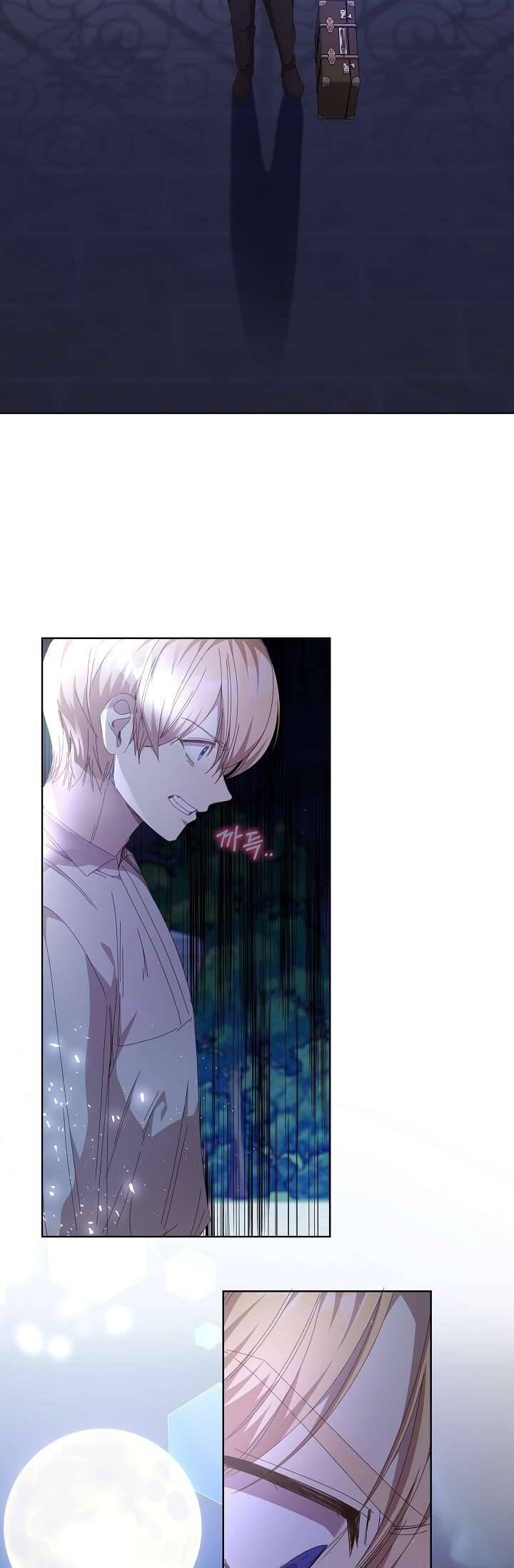 Tôi Đã Vô Tình Quyến Rũ Em Trai Của Nam Chính Chapter 27 - Trang 2