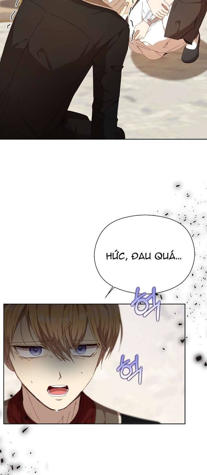 Tôi Đã Vô Tình Quyến Rũ Em Trai Của Nam Chính Chapter 27 - Trang 2