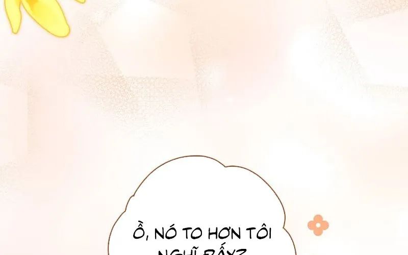 Thiên Tài Phép Thuật Nắm Giữ Khái Niệm Chapter 37 - Trang 2