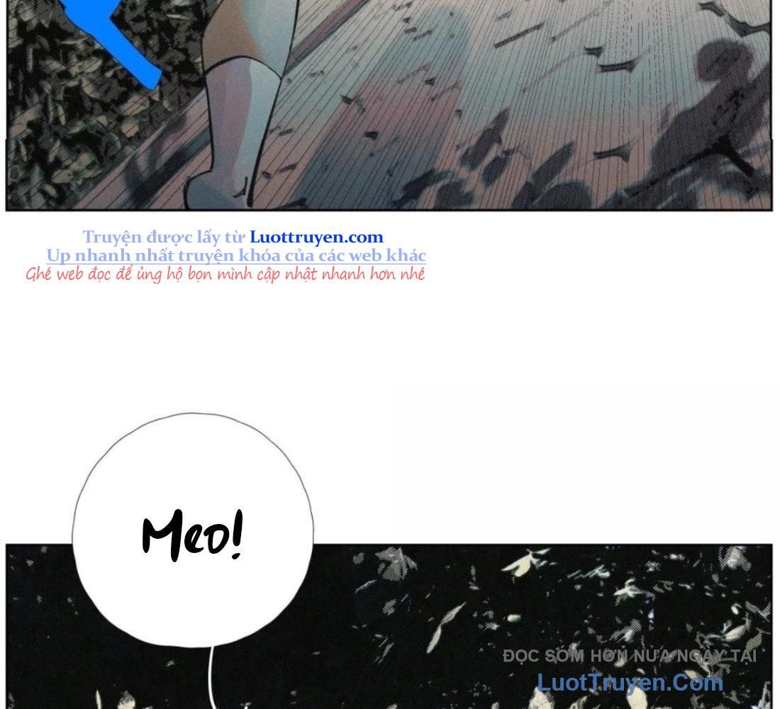 Chiến Loạn Thời Không Chapter 75 - Trang 2