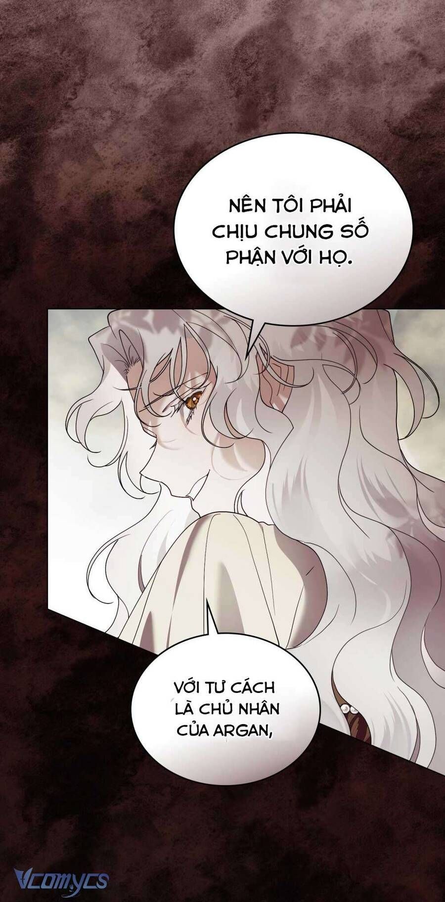 Hôn Nhân Khế Ước Chapter 52 - Trang 2
