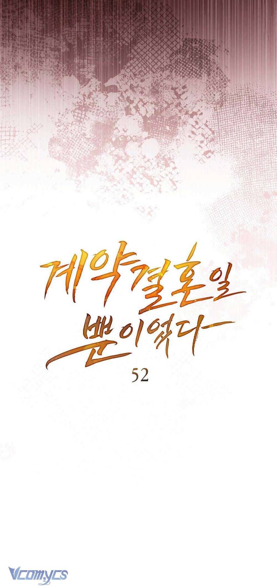 Hôn Nhân Khế Ước Chapter 52 - Trang 2