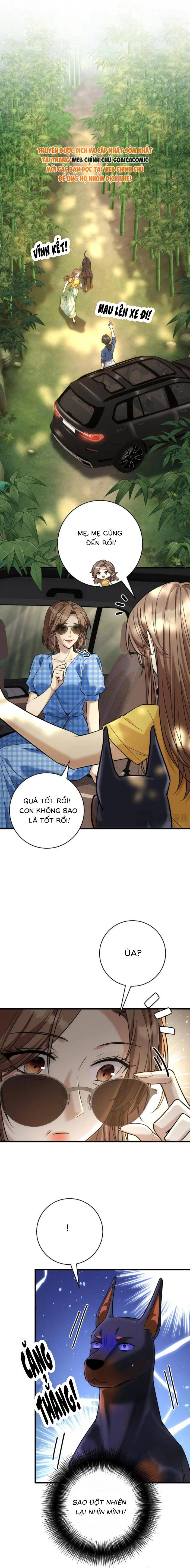 Tổng Tài Chó Chapter 48 - Trang 2
