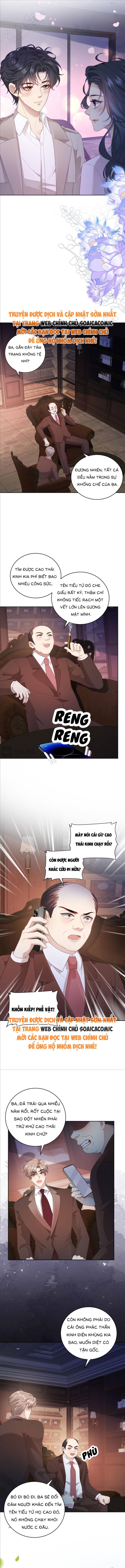Bạn Gái Giả Ngốc Của Chủ Tịch Chapter 36 - Trang 2