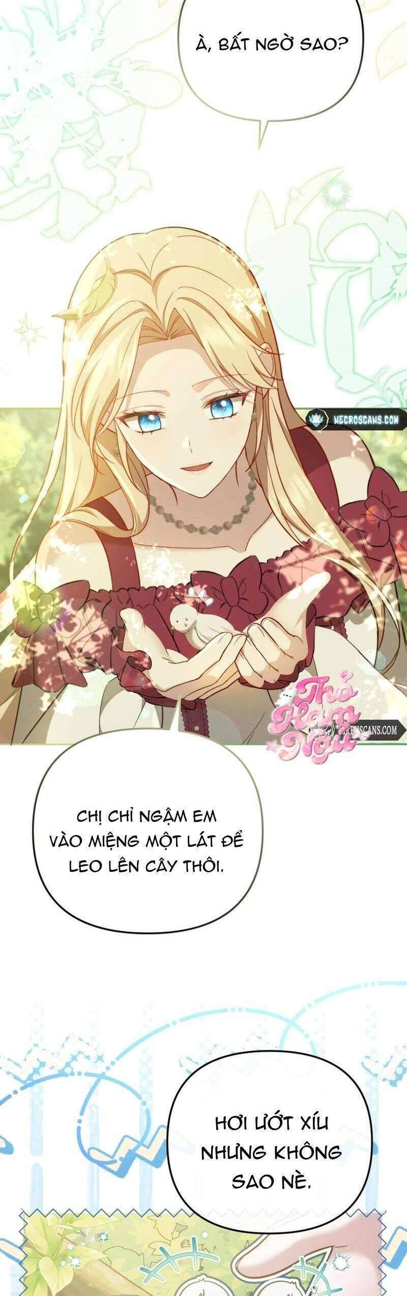 Dù Che Giấu Sức Mạnh Nhưng Tiểu Thư Vẫn Là Người Mạnh Nhất Chapter 5 - Trang 2