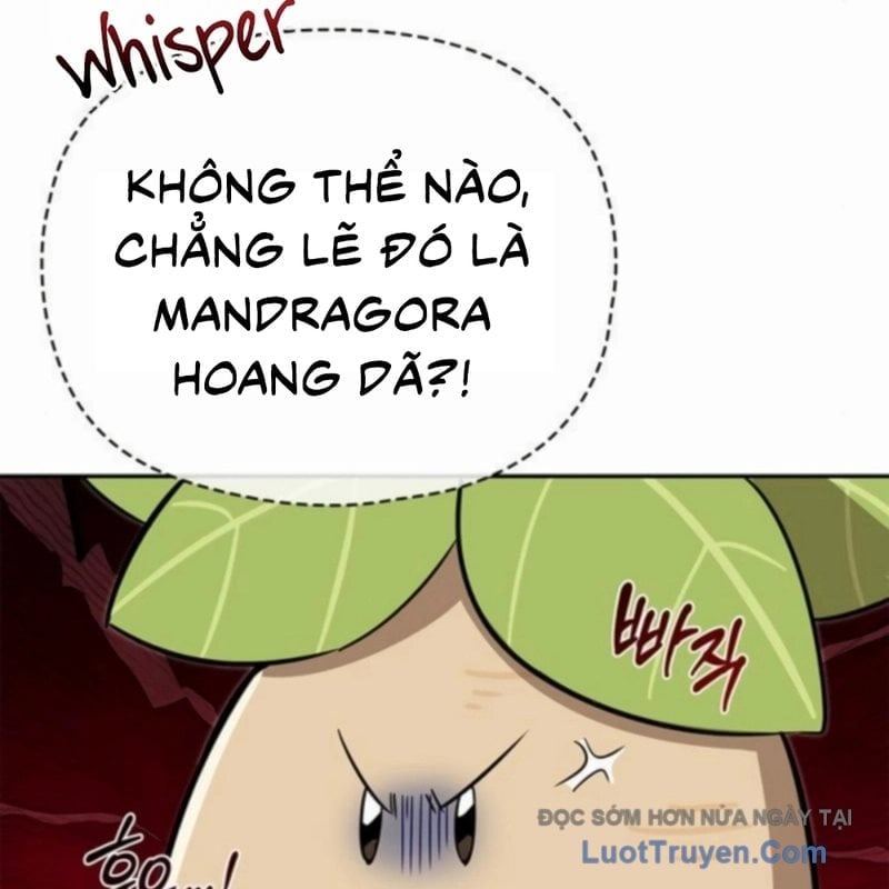 Healer Cấp S Chữa Trị Cho Quái Vật Chapter 18 - Trang 2