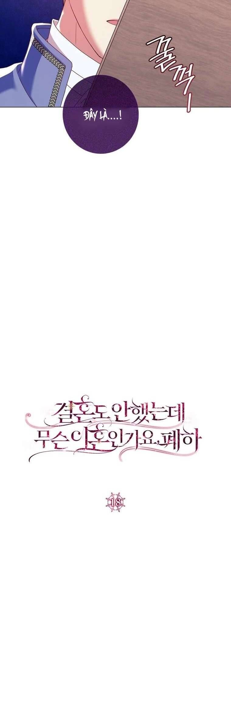Sao Tôi Có Thể Li Hôn Khi Còn Chưa Kết Hôn Đây, Thưa Bệ Hạ Chapter 18 - Trang 2