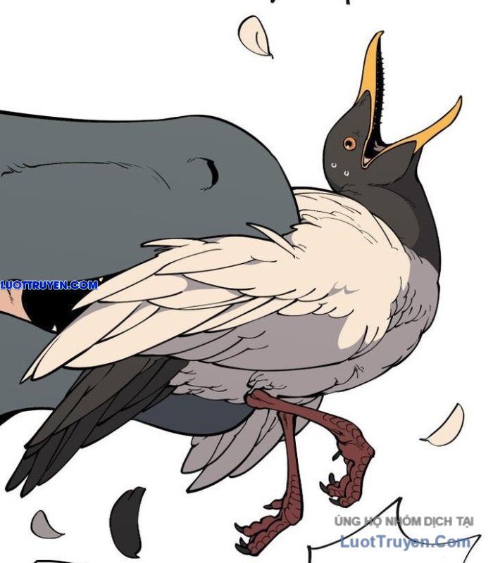 Động Vật Tiền Sử Chapter 3 - Trang 2