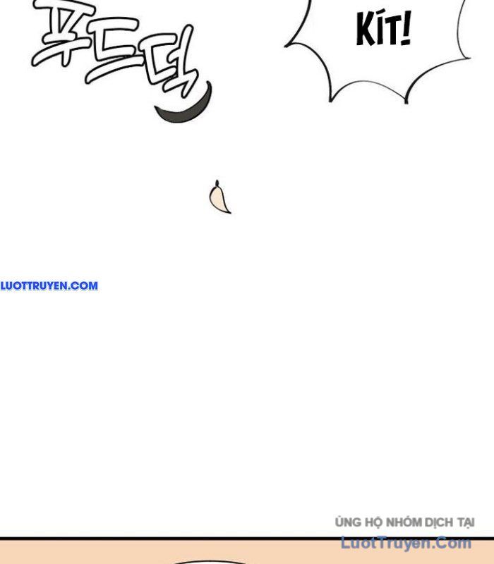 Động Vật Tiền Sử Chapter 3 - Trang 2