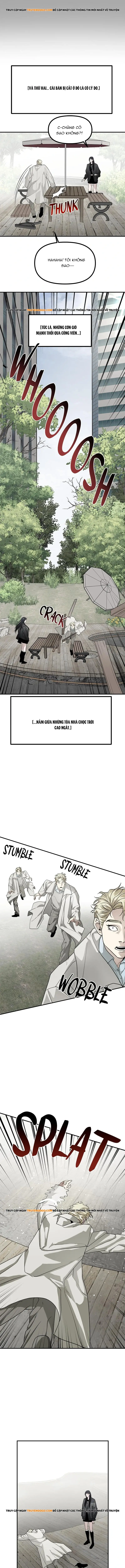 Chị Em Nhà Ki Chapter 47 - Trang 2