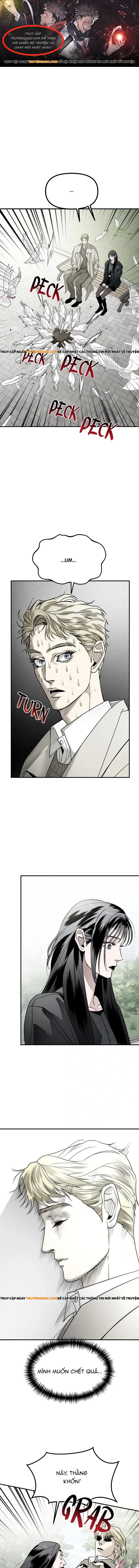 Chị Em Nhà Ki Chapter 48 - Trang 2