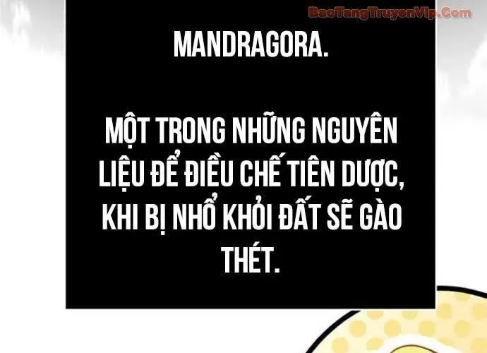 Sống Sót Trong Trò Chơi Với Tư Cách Là Một Cuồng Nhân Chapter 126 - Trang 2