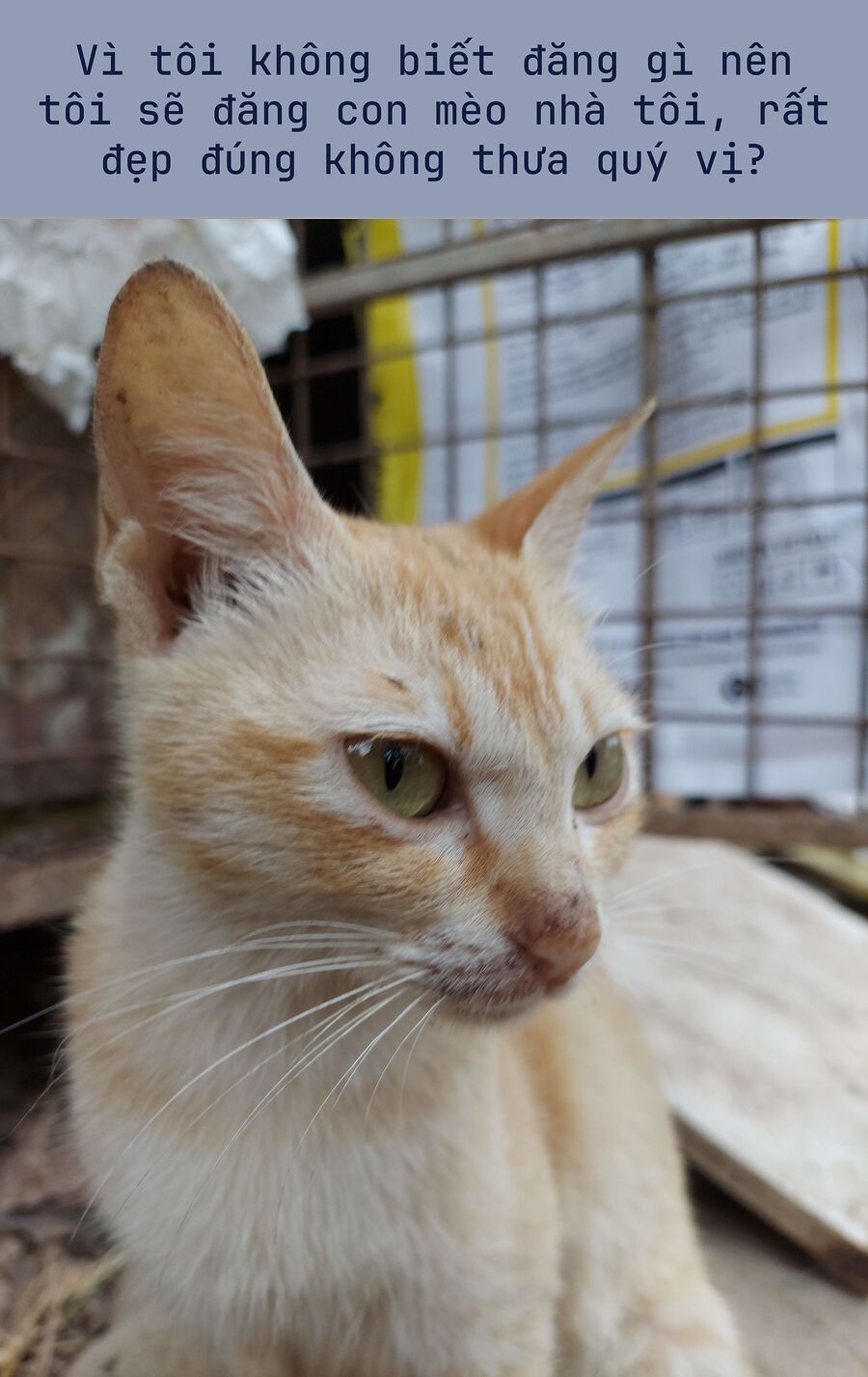 Thiên Sứ Nhà Bên Chapter 24.3 - Trang 2