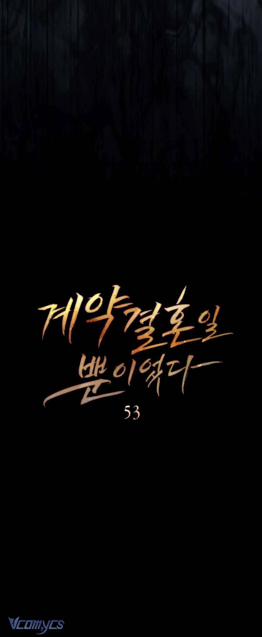 Hôn Nhân Khế Ước Chapter 53 - Trang 2