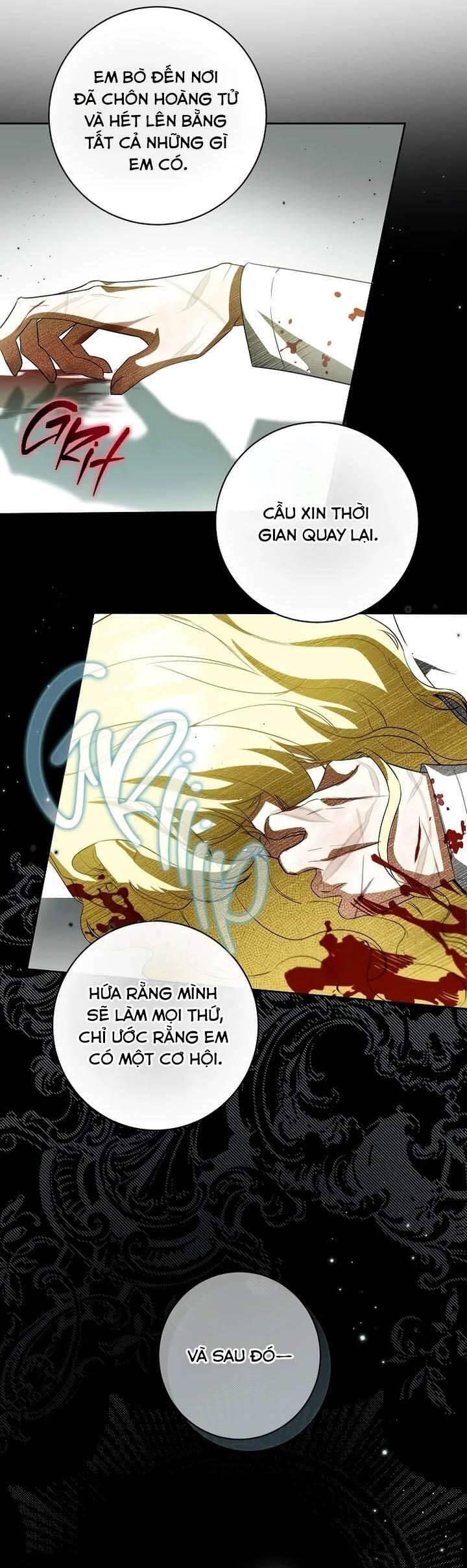 Hình Như Tôi Đã Xuyên Vào Cuốn Tiểu Thuyết Nào Đó Chapter 76 - Trang 2