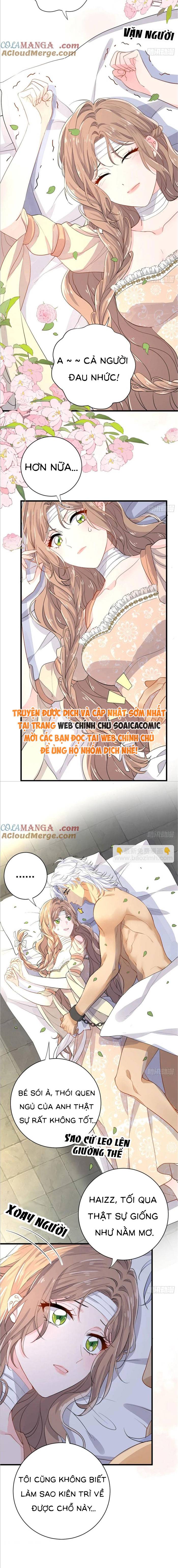 Xuyên Đến Dị Giới Toàn Trai Đẹp Chapter 22 - Trang 2