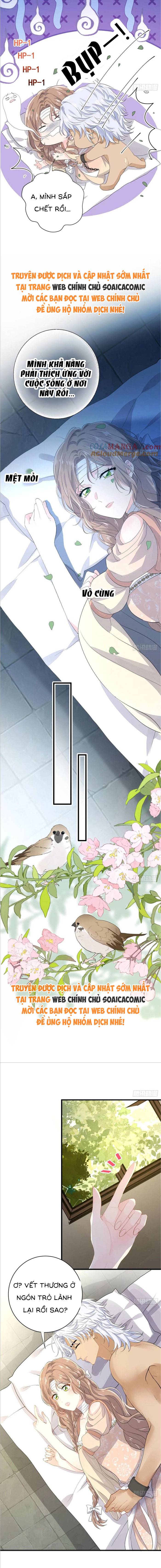 Xuyên Đến Dị Giới Toàn Trai Đẹp Chapter 22 - Trang 2