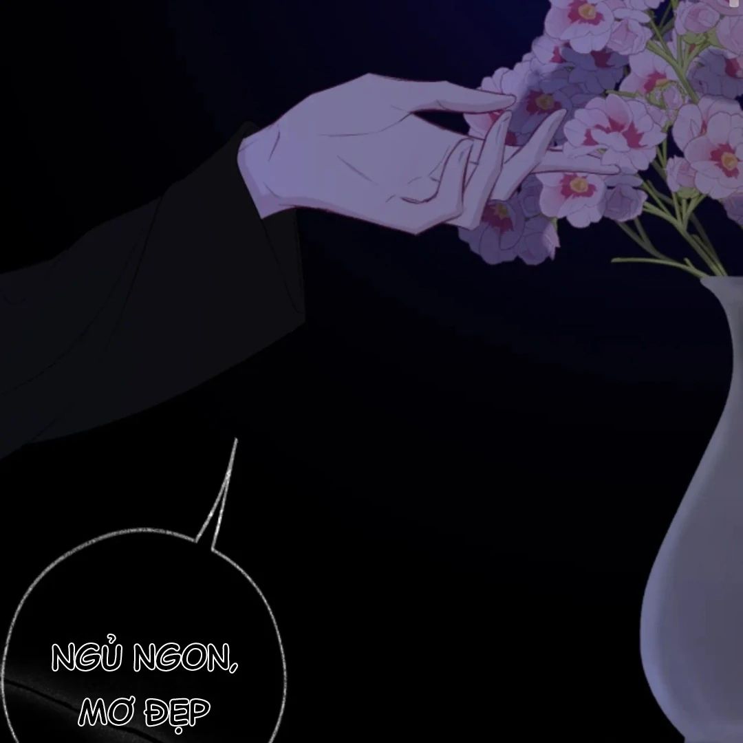 Decibel Nhịp Tim Chapter 16 - Trang 2