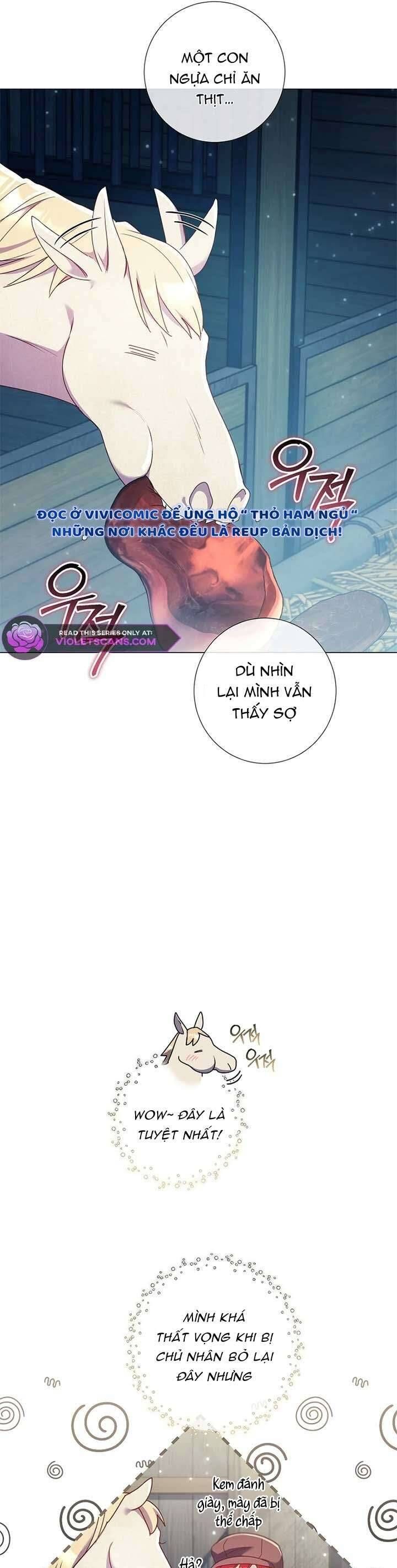 Sao Tôi Có Thể Li Hôn Khi Còn Chưa Kết Hôn Đây, Thưa Bệ Hạ Chapter 24 - Trang 2