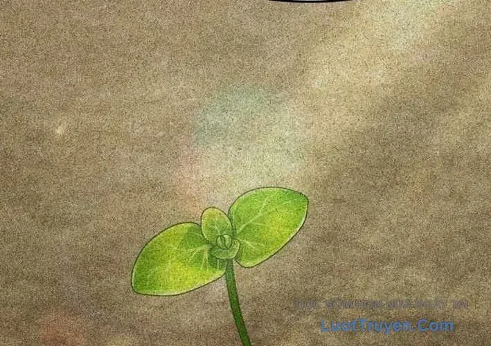 Thiên Ma Giáo Chapter 39 - Trang 2