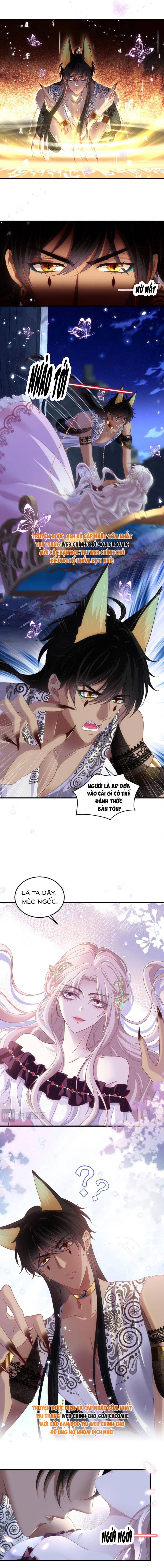 Ma Nữ Trở Lại Và Cuộc Hôn Nhân Định Mệnh Chapter 2 - Trang 2