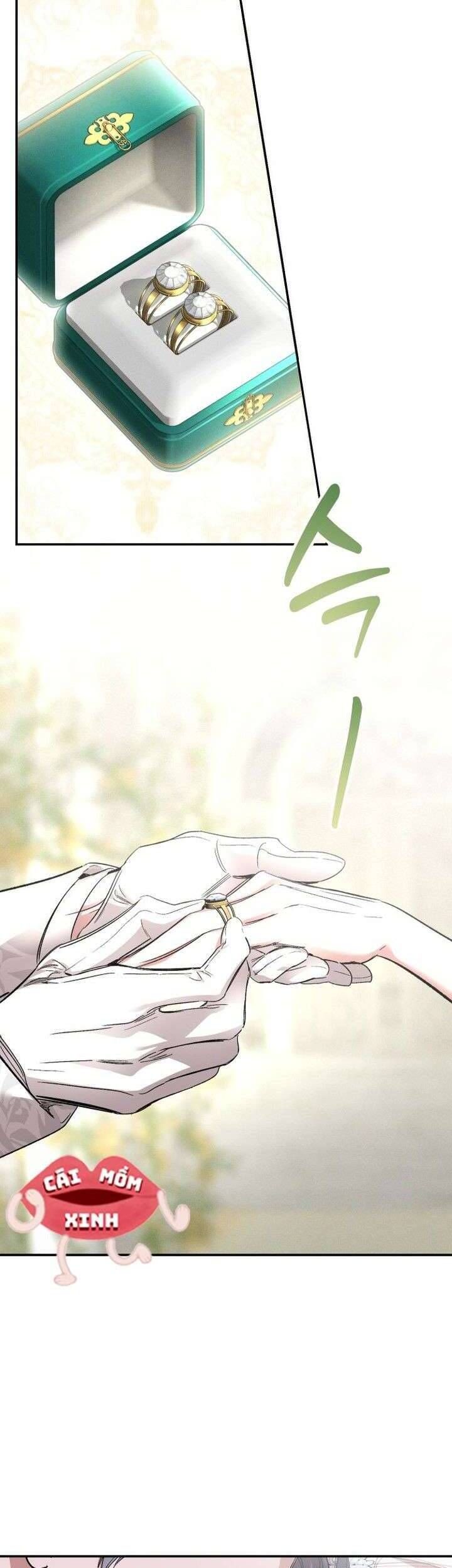 Cuộc Hôn Nhân Bị Bắt Cóc Xuyên Thời Gian Của Hoàng Hậu Chapter 38 - Trang 2