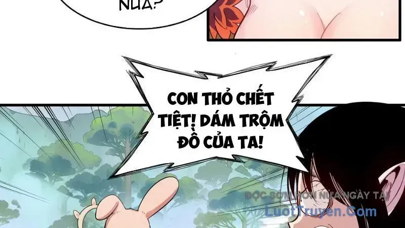 Xuyên Không Thành Ma Tôn Pháo Hôi? Nhưng Ta Là Streamer Công Lược Chapter 17 - Trang 2